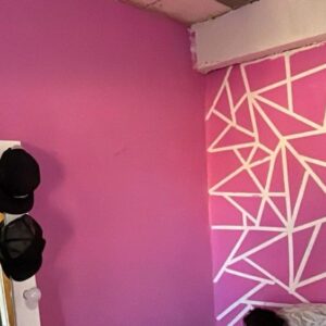 Pintura Látex Bongo Premium 10l Interior Y Exterior Fucsia