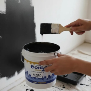 Pintura Látex Bongo Premium 10l Interior Y Exterior Negro