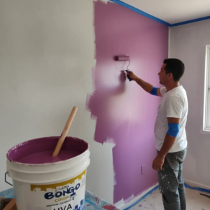 Pintura Látex Bongo Premium 10l Interior Y Exterior Uva